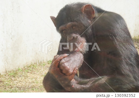 【熊本県】阿蘇カドリー・ドミニオン 130392352