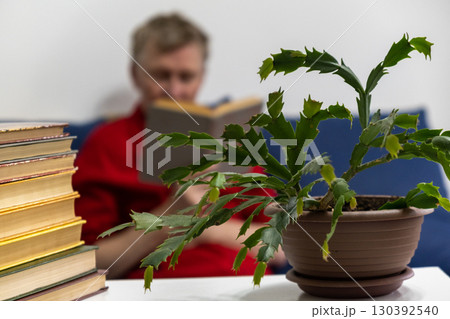 person reading book in cozy room with potted plant and stacked books in foreground. closeup. person reading book in cozy room with potted plant and stacked books in foreground. closeup. 130392540