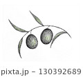 オリーブ 130392689