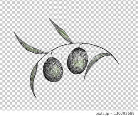 オリーブ 130392689