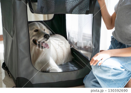 ソフトクレートに入るゴールデンレトリーバーと飼い主(ペットのしつけ・安心空間) ソフトクレートに入るゴールデンレトリーバーと飼い主(ペットのしつけ・安心空間) 130392690