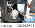 ソフトクレートに入るゴールデンレトリーバーと飼い主（ペットのしつけ・安心空間） 130392691