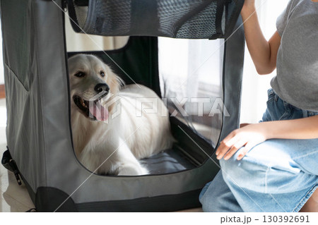 ソフトクレートに入るゴールデンレトリーバーと飼い主（ペットのしつけ・安心空間） 130392691