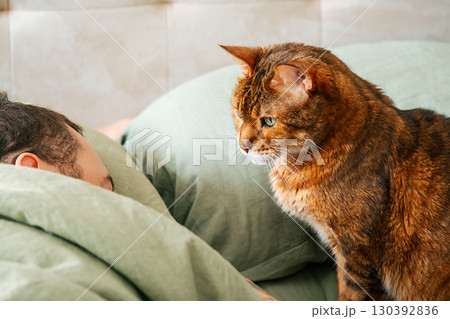 Brown tabby cat watching sleeping man in bed. Brown tabby cat watching sleeping man in bed. 130392836