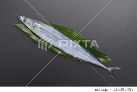 秋刀魚　1尾 130393453