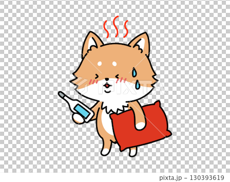 熱が出た!しんどい柴犬さん 熱が出た!しんどい柴犬さん 130393619