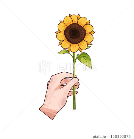illustration of hand holding sunflower 130393876