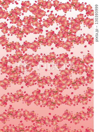 背景素材＜花・梅（群生・塊）＆花びら・カラー＞ 130393999