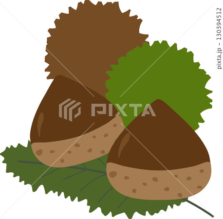シンプルな栗のイラスト素材 130394512