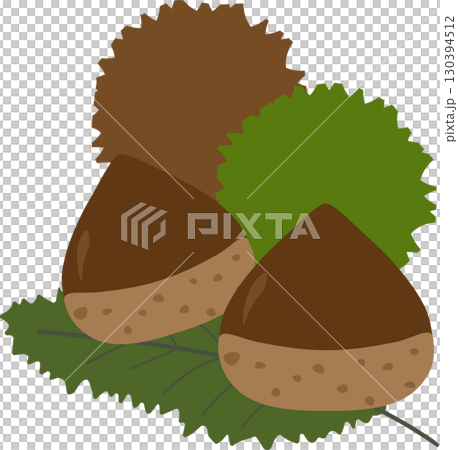 シンプルな栗のイラスト素材 130394512