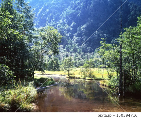 初夏の田代池の朝 初夏の田代池の朝 130394716