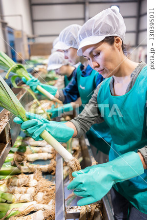 Woman sorting fresh leek in vegetable factory 130395011
