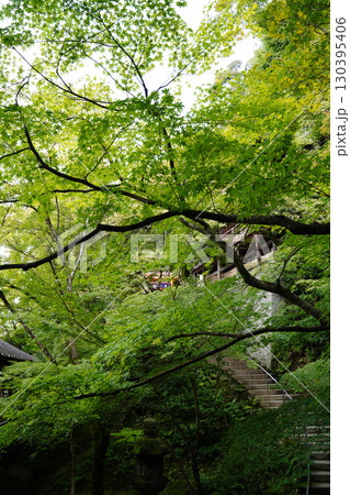 京都の仏教寺院の緑豊かな境内風景 京都の仏教寺院の緑豊かな境内風景 130395406
