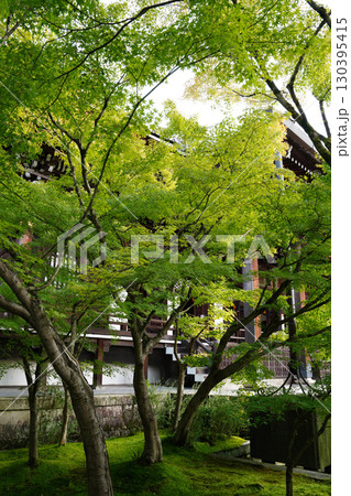 京都の仏教寺院の緑豊かな境内風景 京都の仏教寺院の緑豊かな境内風景 130395415