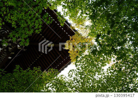 京都の仏教寺院の緑豊かな境内風景 130395417