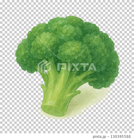 Broccoli illustration for lunch box 130395588