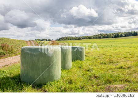 Close view of green silage bales in countryside field under dramatic cloudy sky 130396162