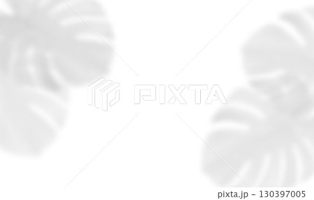 Shadow of monstera leaves shadow overlay with realistic leaf silhouettes on transparent background. Tropical palm foliage illuminated by sunlight. Vector illustration 130397005