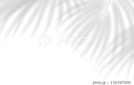 Realistic tropical palm shade overlay with realistic leaf silhouettes on transparent background. Summer background illuminated by sunlight through tropical foliage. Vector illustration Realistic tropical palm shade overlay with realistic leaf silhouettes on transparent background. Summer background illuminated by sunlight through tropical foliage. Vector illustration 130397006