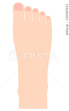 右足　足の甲 130397011