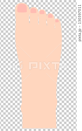 右足　足の甲 130397011