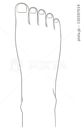 右足 足の甲 右足 足の甲 130397014