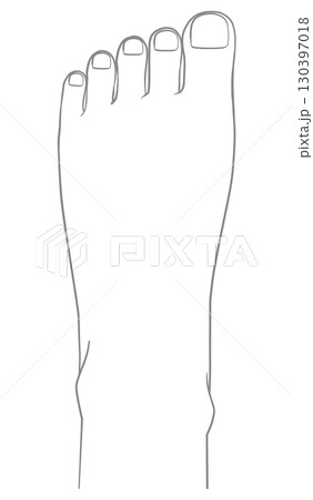 左足　足の甲 130397018
