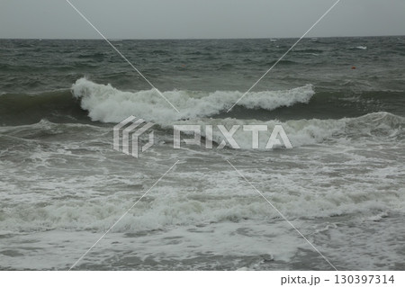 保田海岸を歩いた 130397314