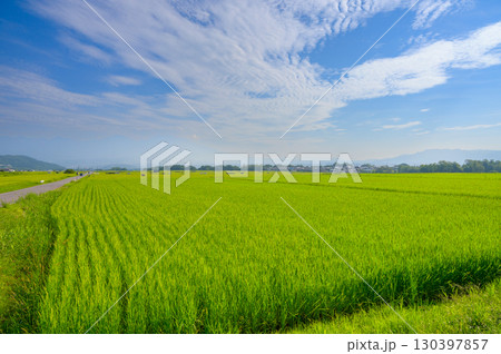 五郎兵衛新田【佐久市甲】 130397857