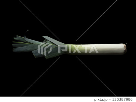 ポロネギ 130397996