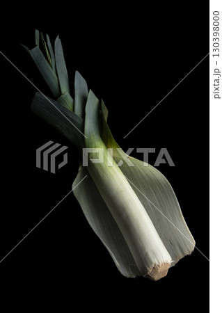 ポロネギ ポロネギ 130398000