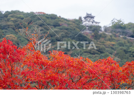 紅葉と山城 紅葉と山城 130398763