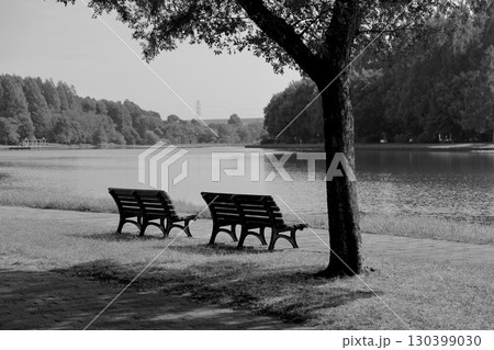 水元公園 130399030