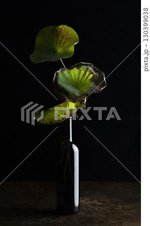 ワインボトルに活けたハスの葉 ワインボトルに活けたハスの葉 130399038
