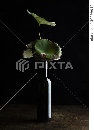 ワインボトルに活けたハスの葉 ワインボトルに活けたハスの葉 130399039