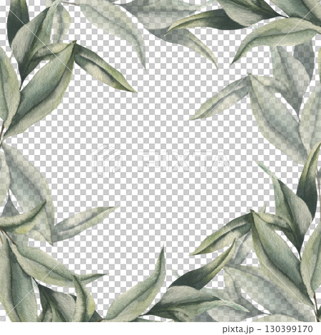 Eucalyptus floral elegant watercolor banner template for wedding card or invitation design.Hand drawn foliage frame with tropical herb, greenery clipart for poster,staionery, greeting card design 130399170