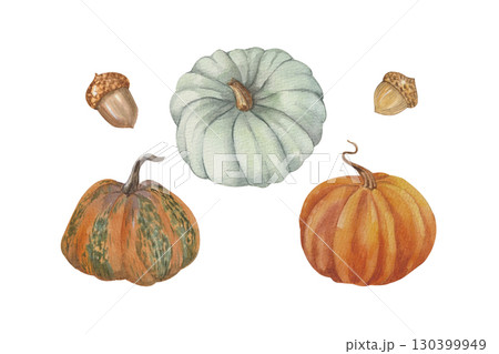 Watercolor pumpkins, isolated on a white background Watercolor pumpkins, isolated on a white background 130399949