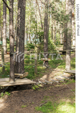 Multiple wooden platforms and ropes are set up high in the trees, creating a climbing park designed for exploration and adventure 130400075