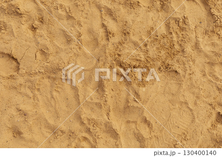Footprints are scattered across a sandy surface, indicating movement and activity in a coastal area during midday, with the sun illuminating the surroundings 130400140
