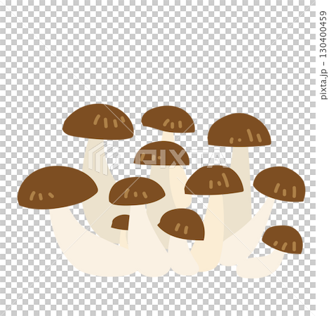 Simple illustration of Bunashimeji mushroom 130400459