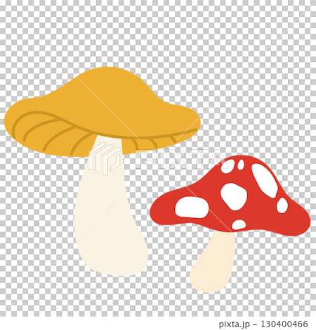 Poisonous mushroom illustration Poisonous mushroom illustration 130400466