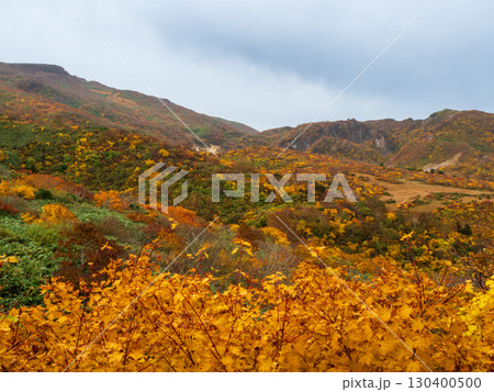 紅葉の栗駒山（神の絨毯） 130400500