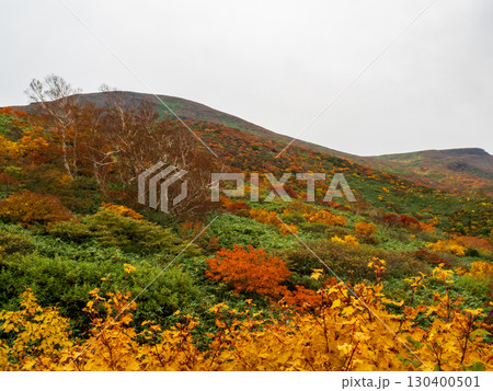 紅葉の栗駒山(神の絨毯) 紅葉の栗駒山(神の絨毯) 130400501