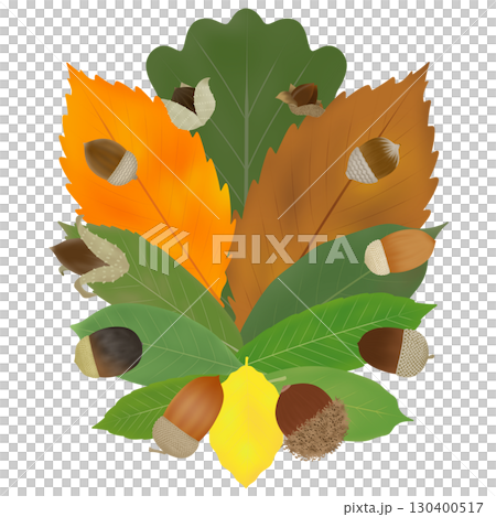 橡子和落葉的插圖 130400517