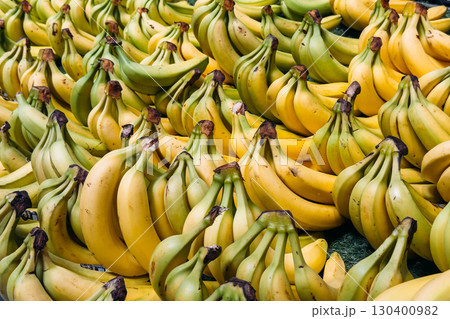 Clusters of ripe and semi-ripe bananas arranged in rows at a commercial market. Tropical fruit supply chain, global trade, international produce import, food miles Clusters of ripe and semi-ripe bananas arranged in rows at a commercial market. Tropical fruit supply chain, global trade, international produce import, food miles 130400982