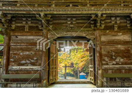 岐阜県美濃市　秋の大矢田神社の楼門からの紅葉の鳥居の眺め 130401089