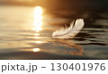 夕暮れの光が反射する水面に浮かぶ一枚の白い羽根 130401976
