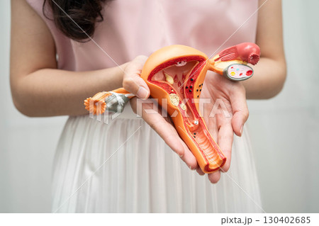 Uterus, Asian woman holding human anatomy model. 130402685