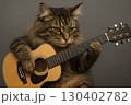 アコースティックギターを演奏する猫（ノルウェージャンフォレストキャット） 130402782