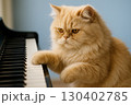 ピアノを演奏するネコ（ペルシャ猫） 130402785